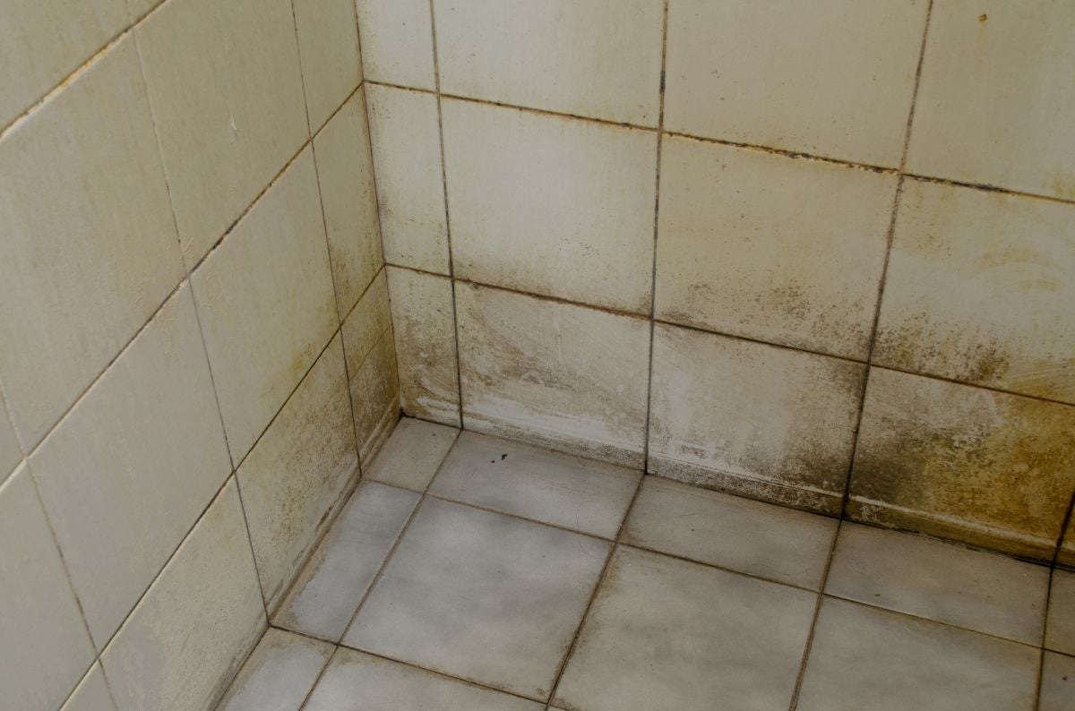 Eine einfache und effektive Methode, um hartnäckigen Schmutz in der Dusche zu entfernen