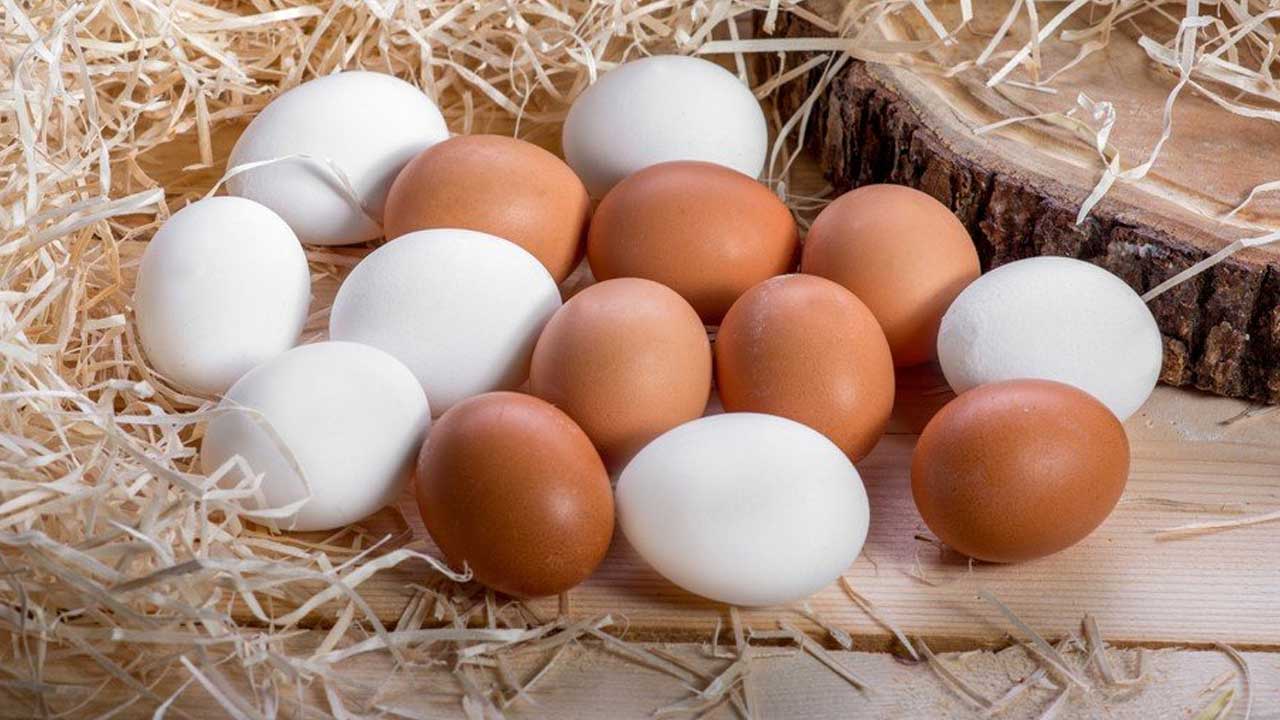 Was ist laut Experten der Unterschied zwischen Eiern mit weißer und brauner Schale?