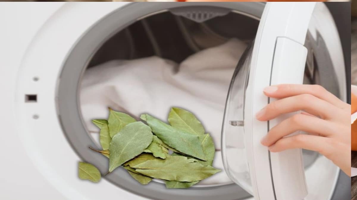 Einfach ein Lorbeerblatt in die Waschmaschine geben, und Ihre Wäsche wird nie wieder so sein wie zuvor