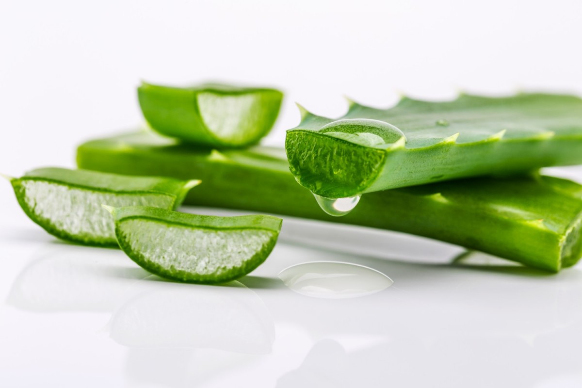 Auf Wiedersehen, Hyaluronsäure: Das Geheimnis der Herstellung von natürlichem Kollagen aus Aloe Vera zu Hause