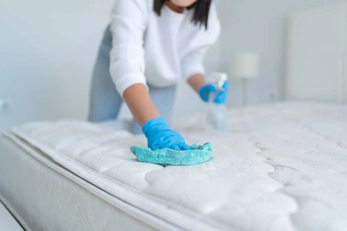 Ihre Matratze wie neu: eine geheime Methode zur Desinfektion und Beseitigung aller Bakterien in wenigen Minuten